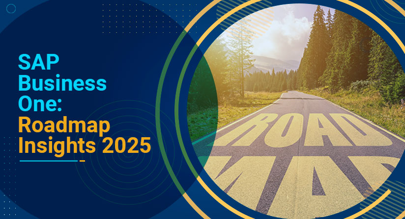 SAP Business One Roadmap Insight